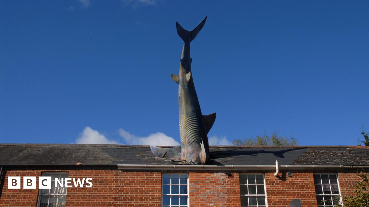 Headington Shark House owner loses short-term lets appeal - BBC News