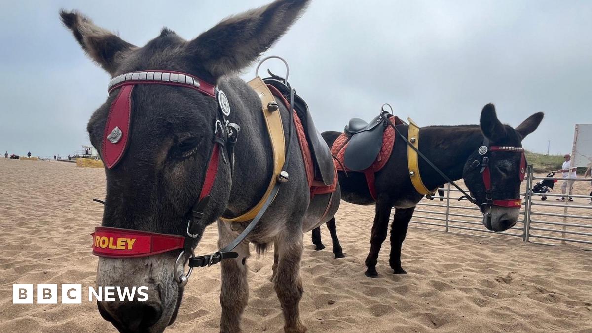 Lincolnshire donkey-ride owners 'exceed standards', says council