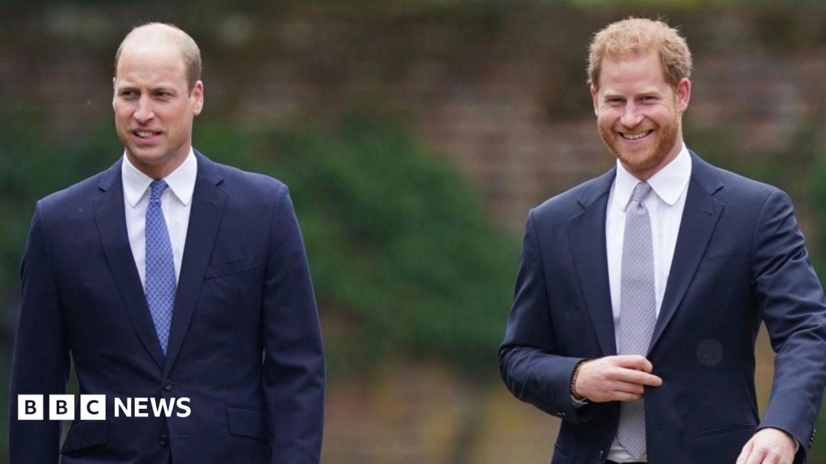 What does Prince Harry's return mean for his fractured relationship with Prince William?