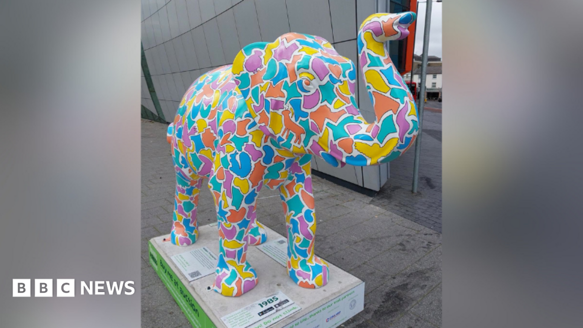 Man charged after hospice elephant sculpture damaged