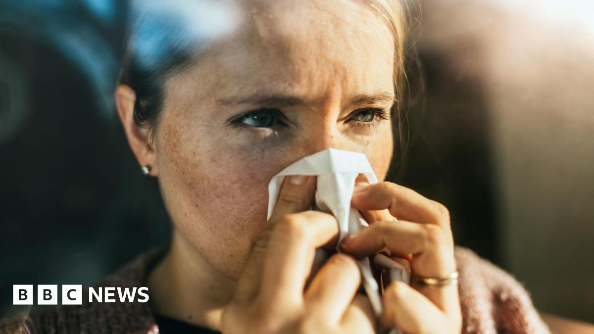 Single vaccine could protect against all coughs, colds and flus, researchers say