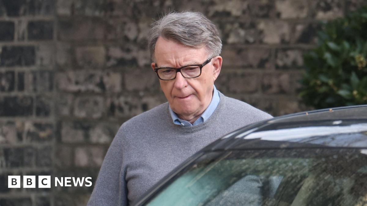 
                            PM warned of 'reputational risk' over Mandelson's Epstein links