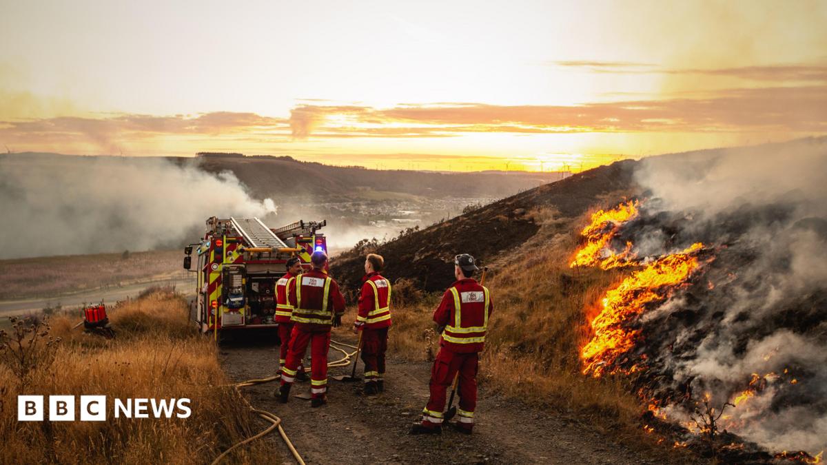 Lessons need to be learned from wildfires, minister admits