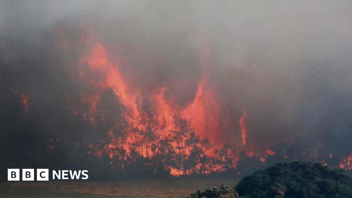 Roads closed as fire crews spend second night at Highland wildfires