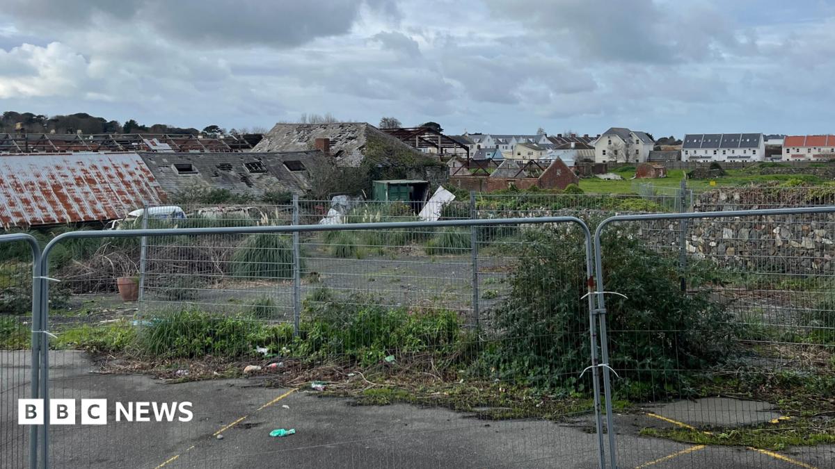 Vale Douzaine pushes for Leale's Yard info