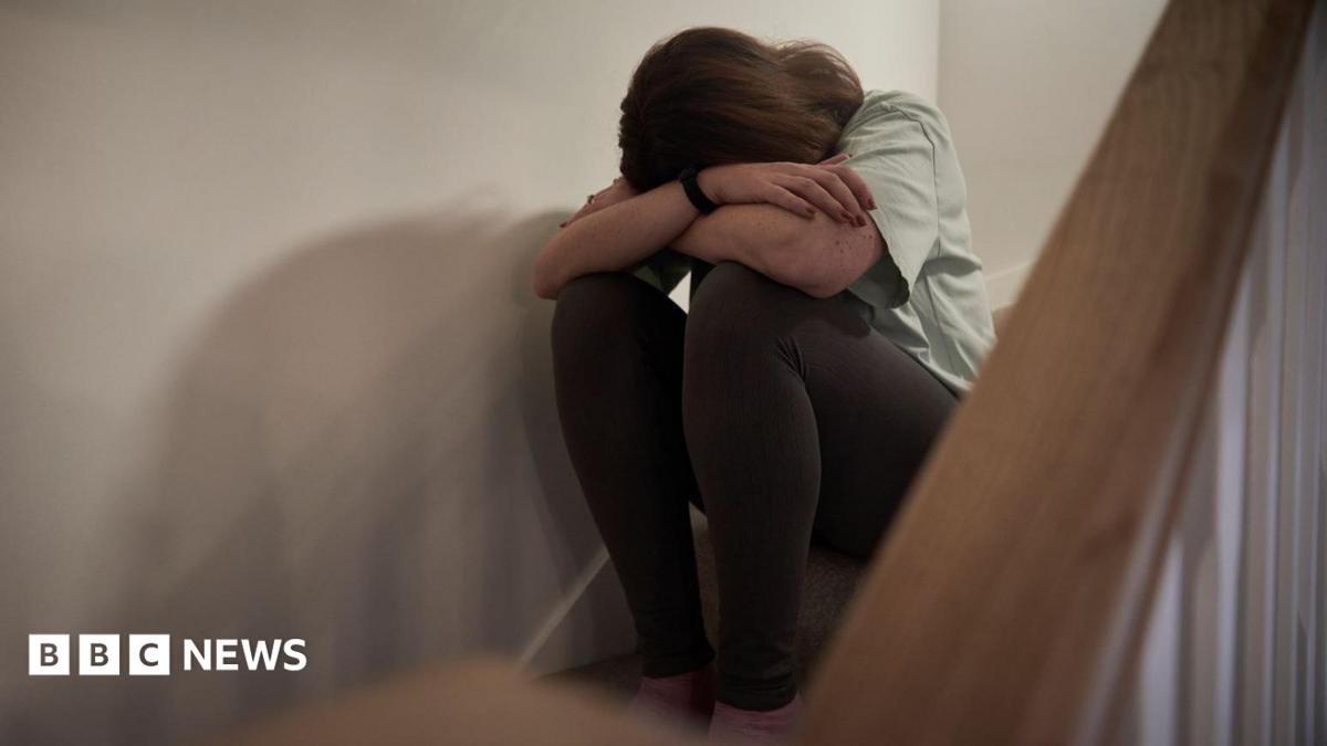 Rotherham domestic violence service could be extended