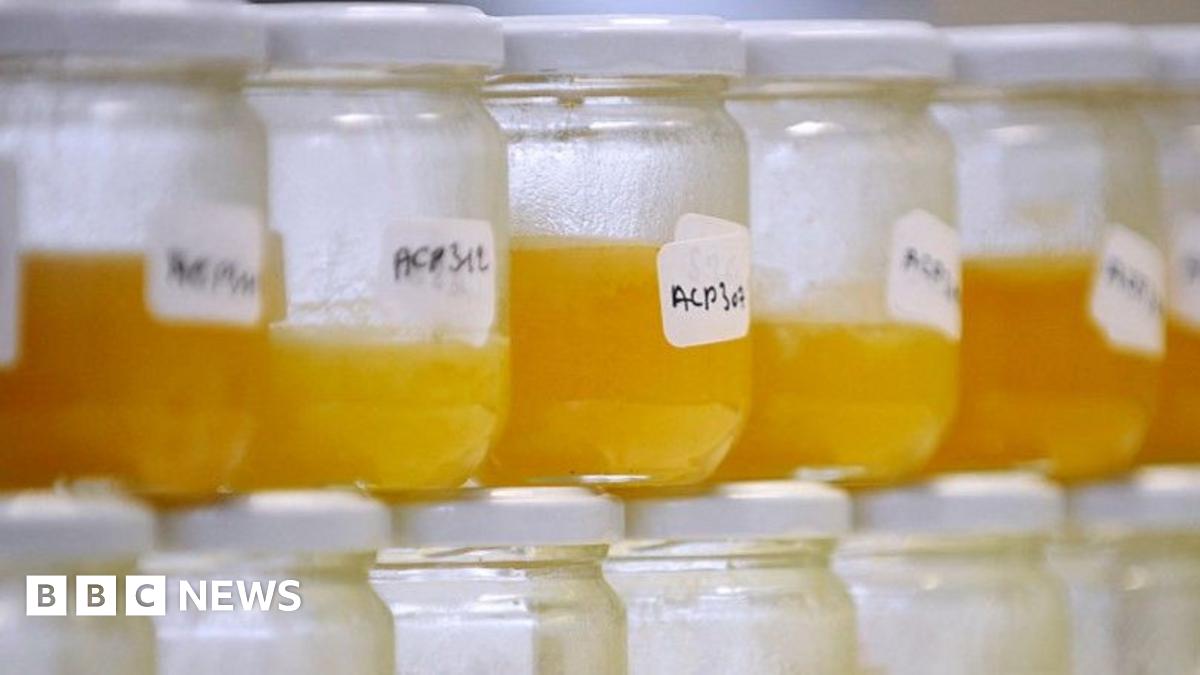 bbc.co.uk - Christine Ro - Why food fraud persists, even with improving tech
