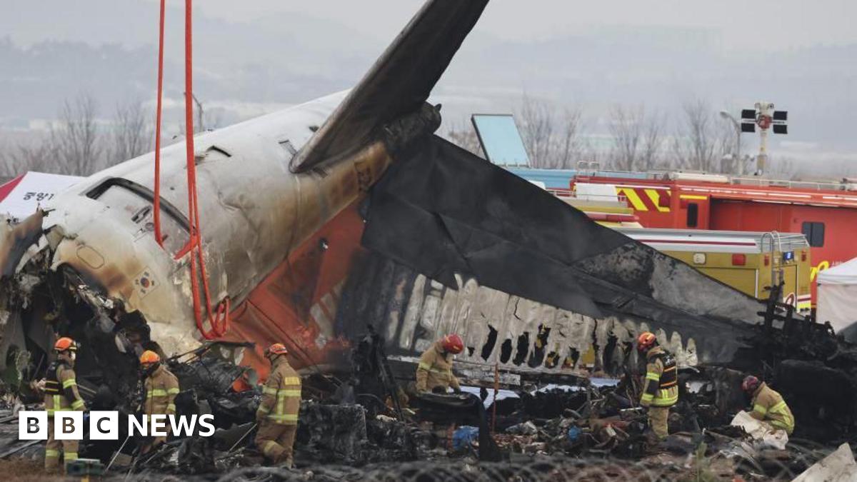 S Korea orders air safety probe after deadly plane crash