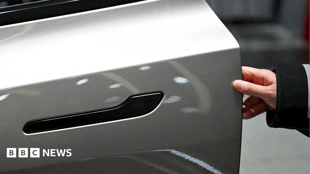 Nearly three million Teslas recalled in China over hidden door handles