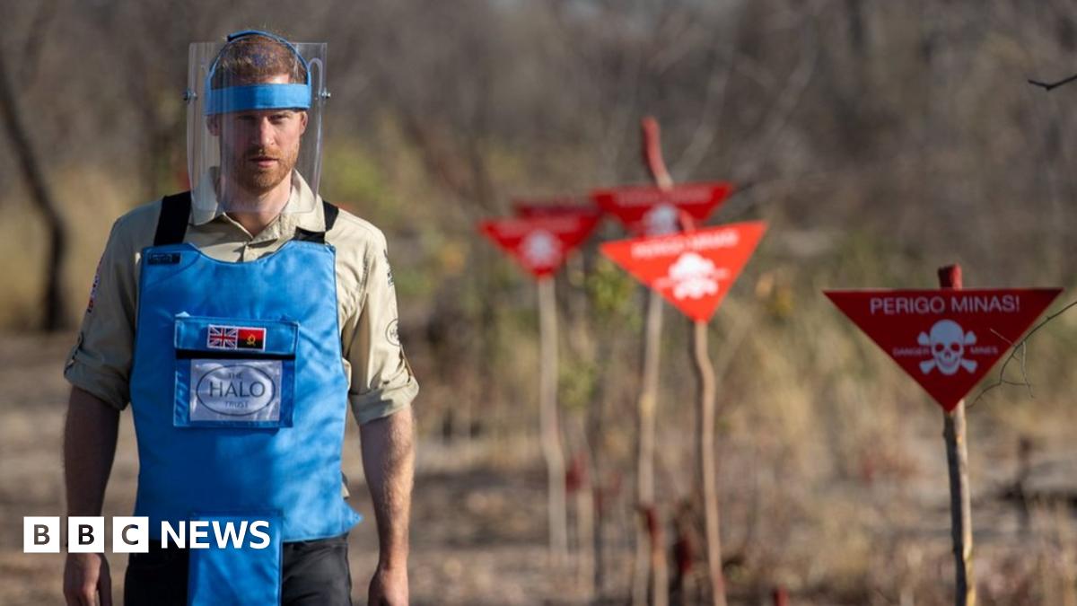 UK matches Zimbabwe landmine fund after Prince Harry tour