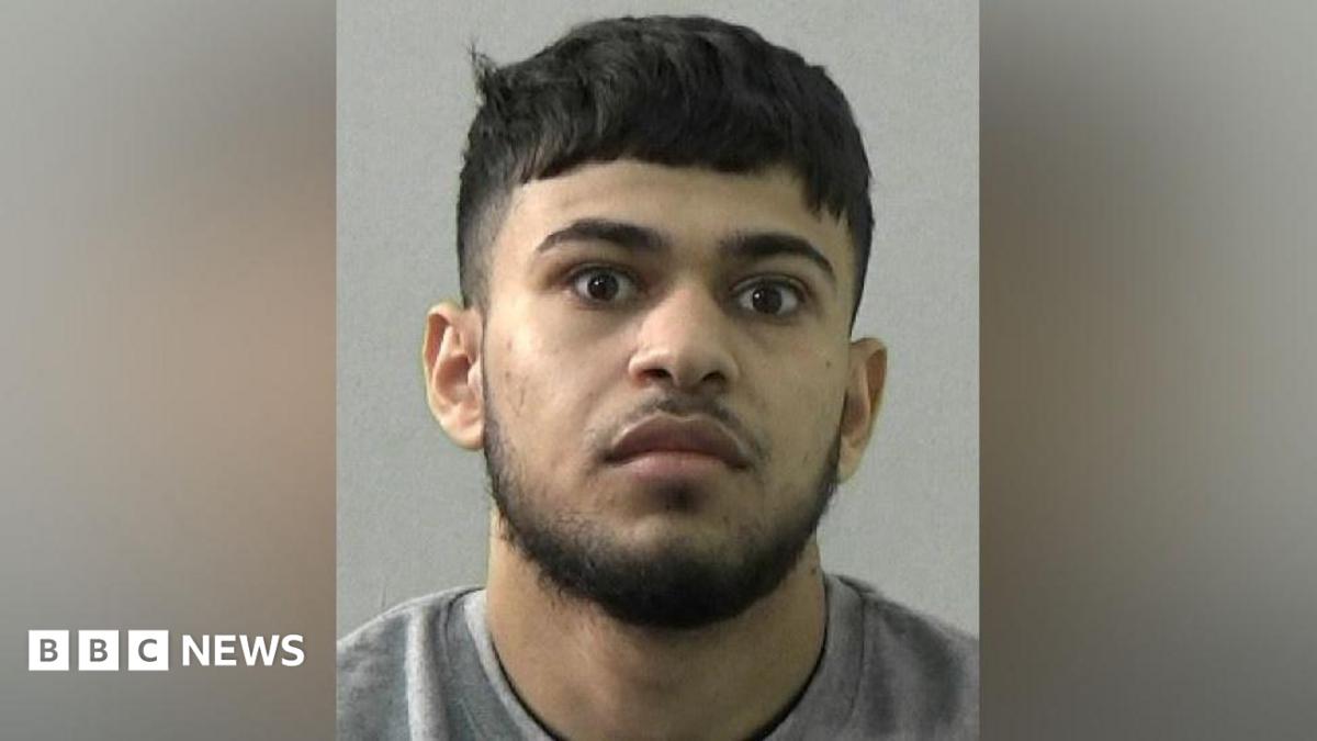 Newcastle driver broke nurse’s back while fleeing police