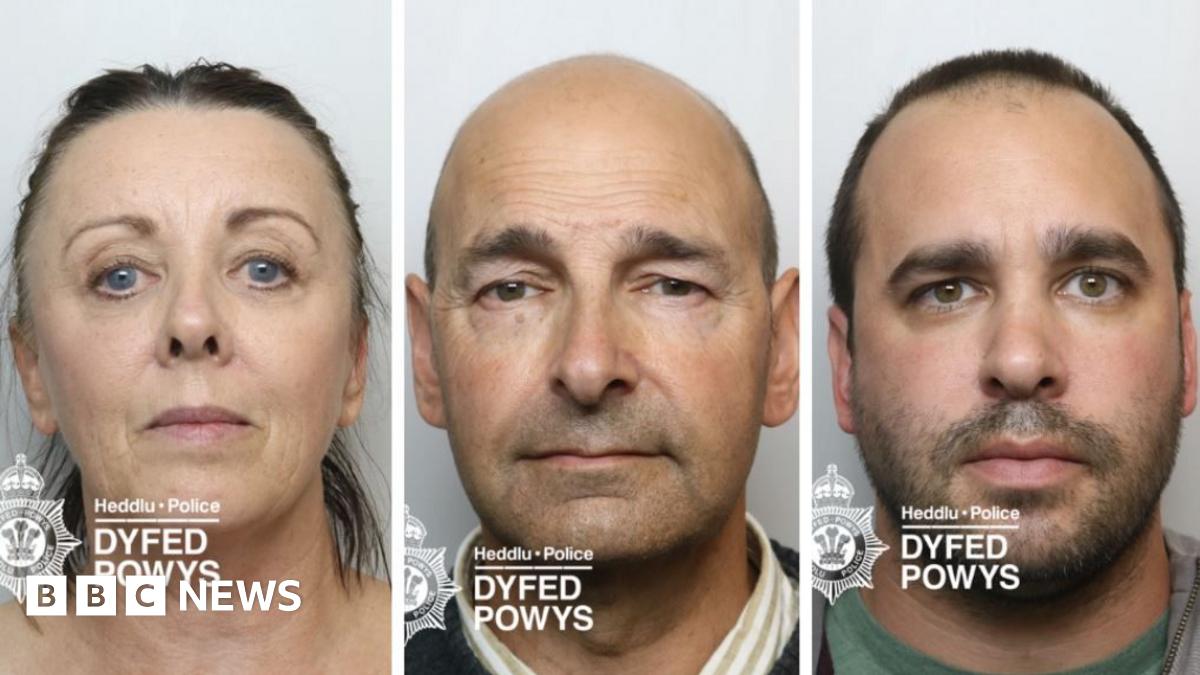 
                            Cannabis farm in Carmarthenshire village stood out like beacon