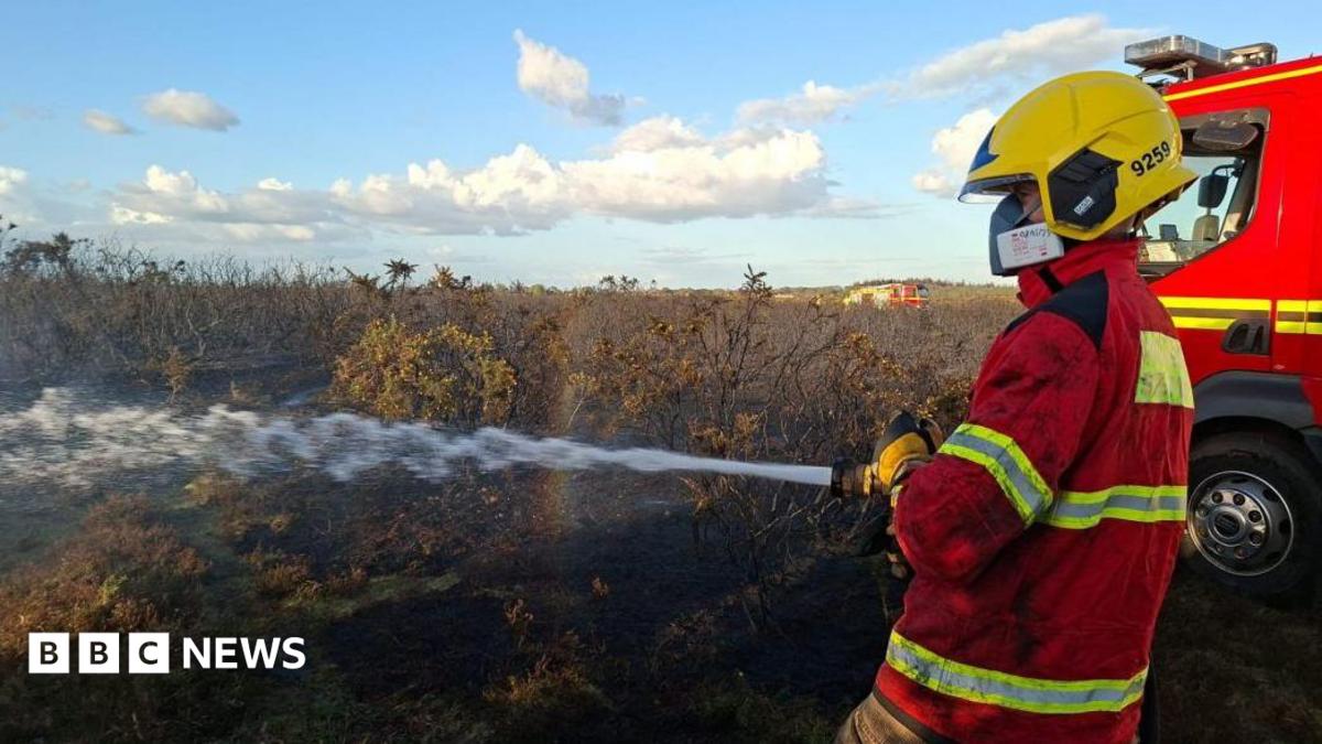 What is causing the summer wildfires?