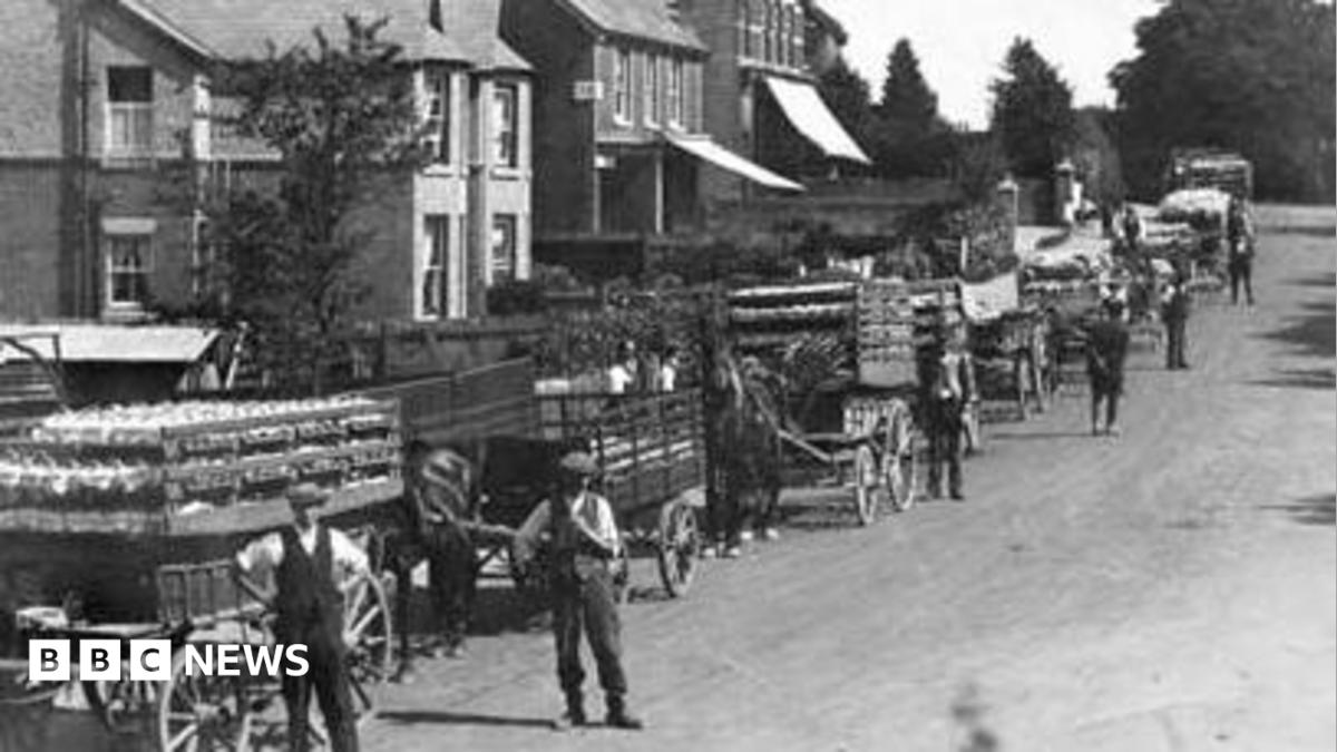 bbc.co.uk - Stephen Stafford - Strawberry fields - Hampshire's summer fruit heyday