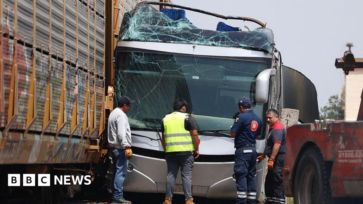 Mexico crash: At least 10 dead after train hits bus
