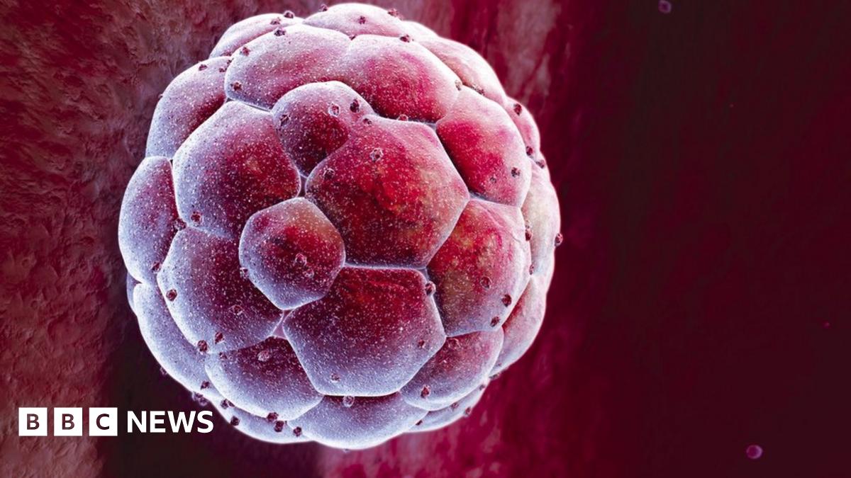 Scientists get 'gene editing' go-ahead - BBC News