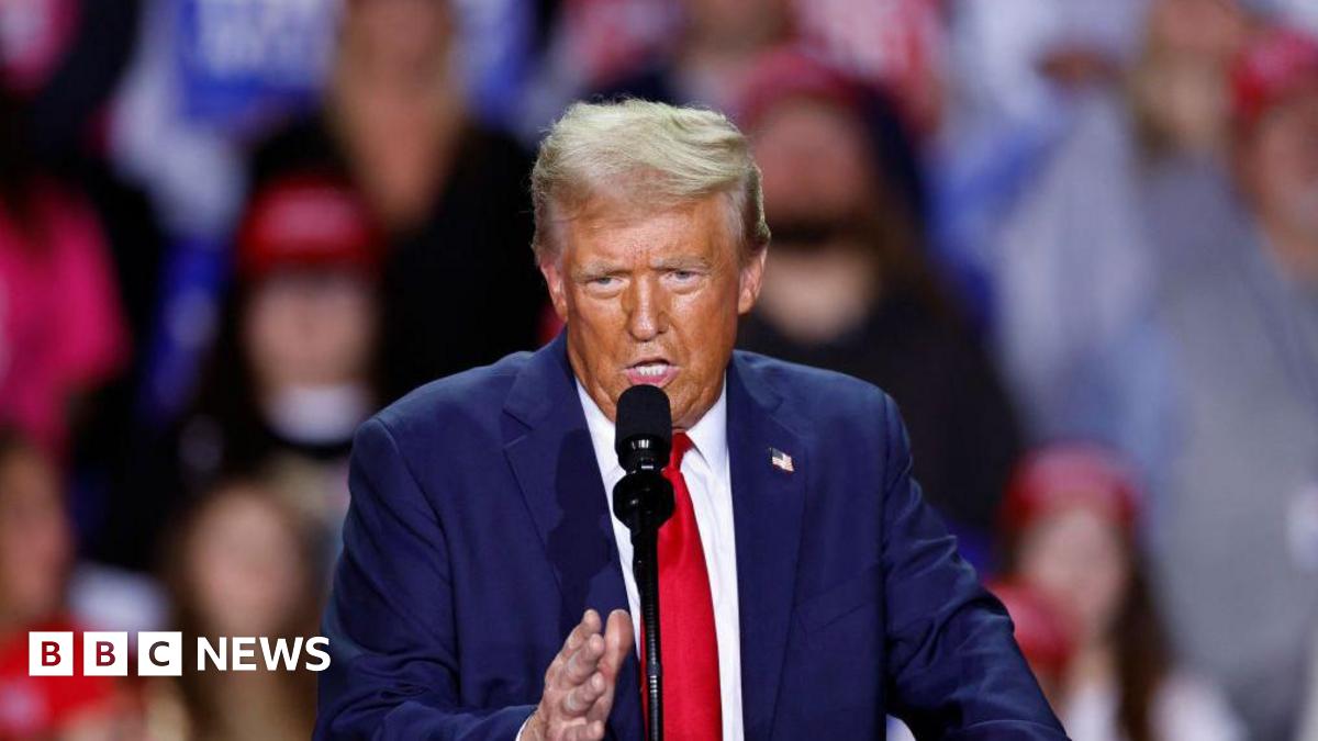 Donald Trump urges US Supreme Court to delay TikTok ban