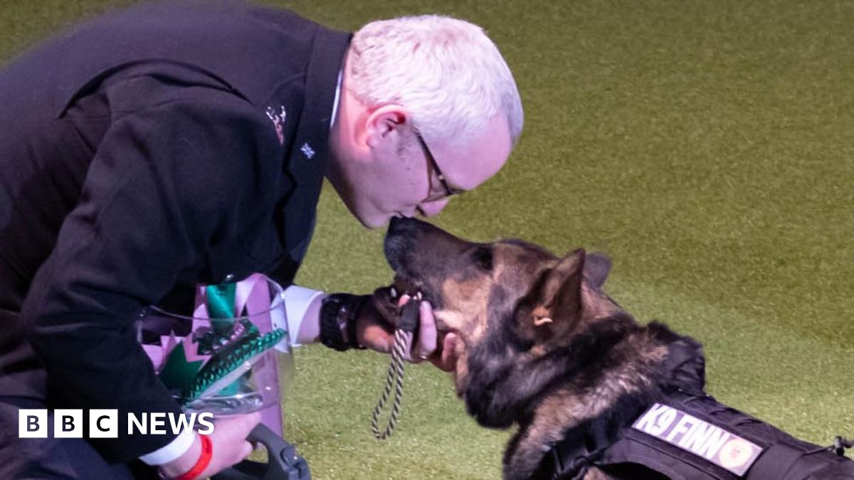 Crufts 2019: Stabbed police dog Finn and handler scoop prize