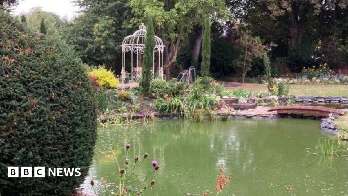 bbc.co.uk - Emma Petrie - Hull's Avenues open gardens event celebrates 50 years of visitors