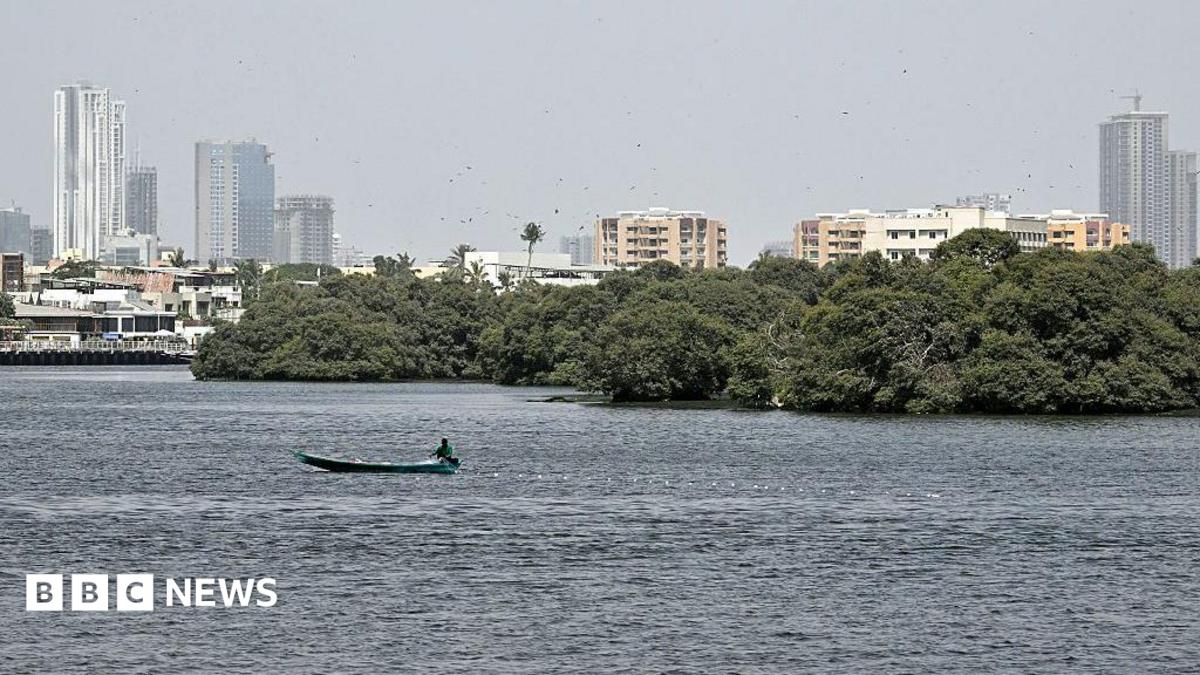Search under way for cargo plane that vanished off Pakistan coast