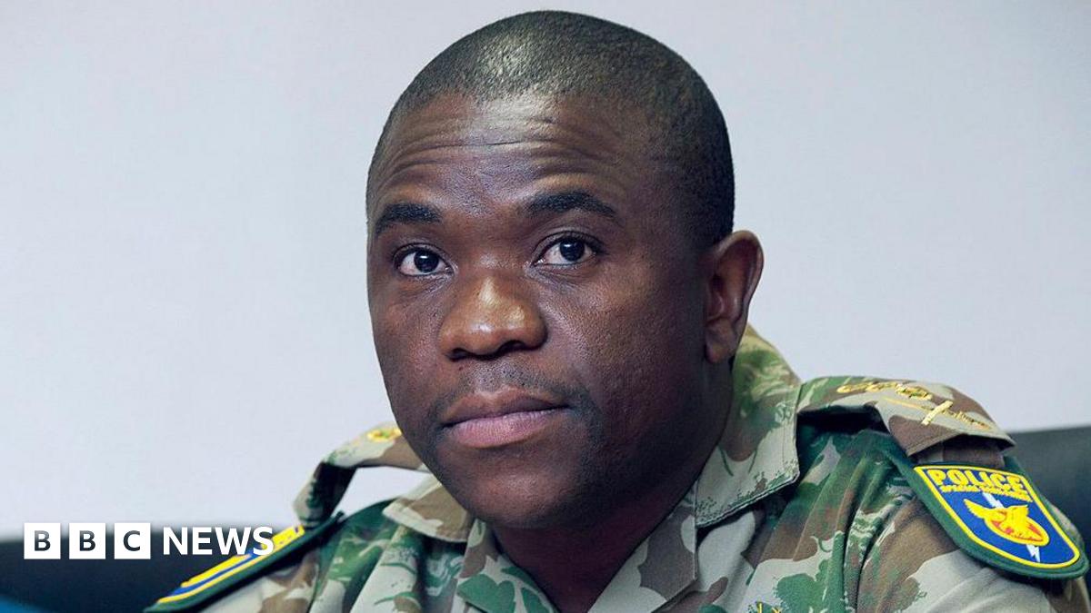 Nhlanhla Mkhwanazi: The top cop who stood up to politicians - twice - BBC  News