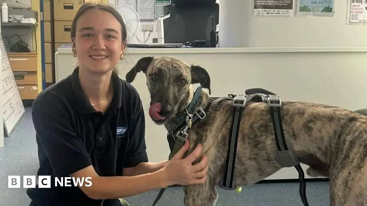 Lancashire RSPCA shelter remains open after public donations