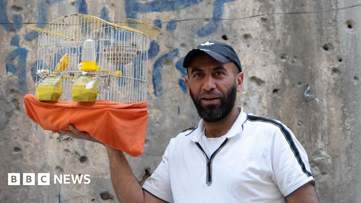 Overjoyed to return - but Syrians face daunting rebuild after years of war