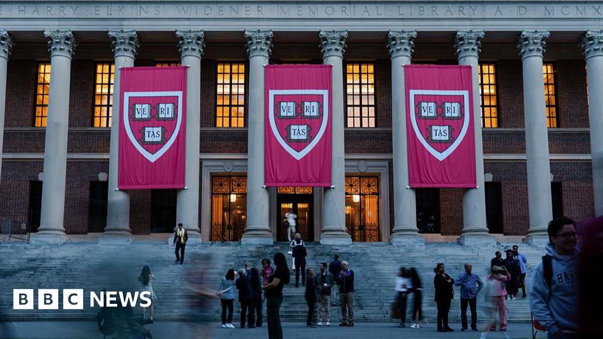 US Visa Crackdown: Students Express Regret Over Applying to American Universities
