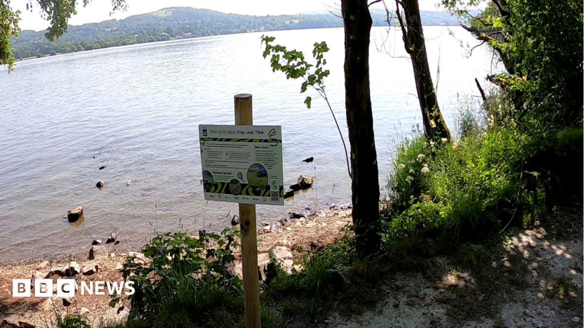 Windermere signs to warn of algae poisoning risk