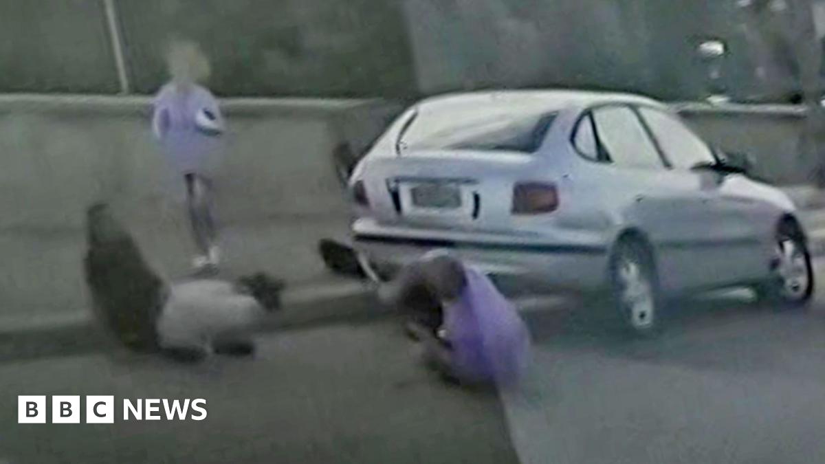 
                            Hero couple tried to stop gunman before being killed in Bondi attack