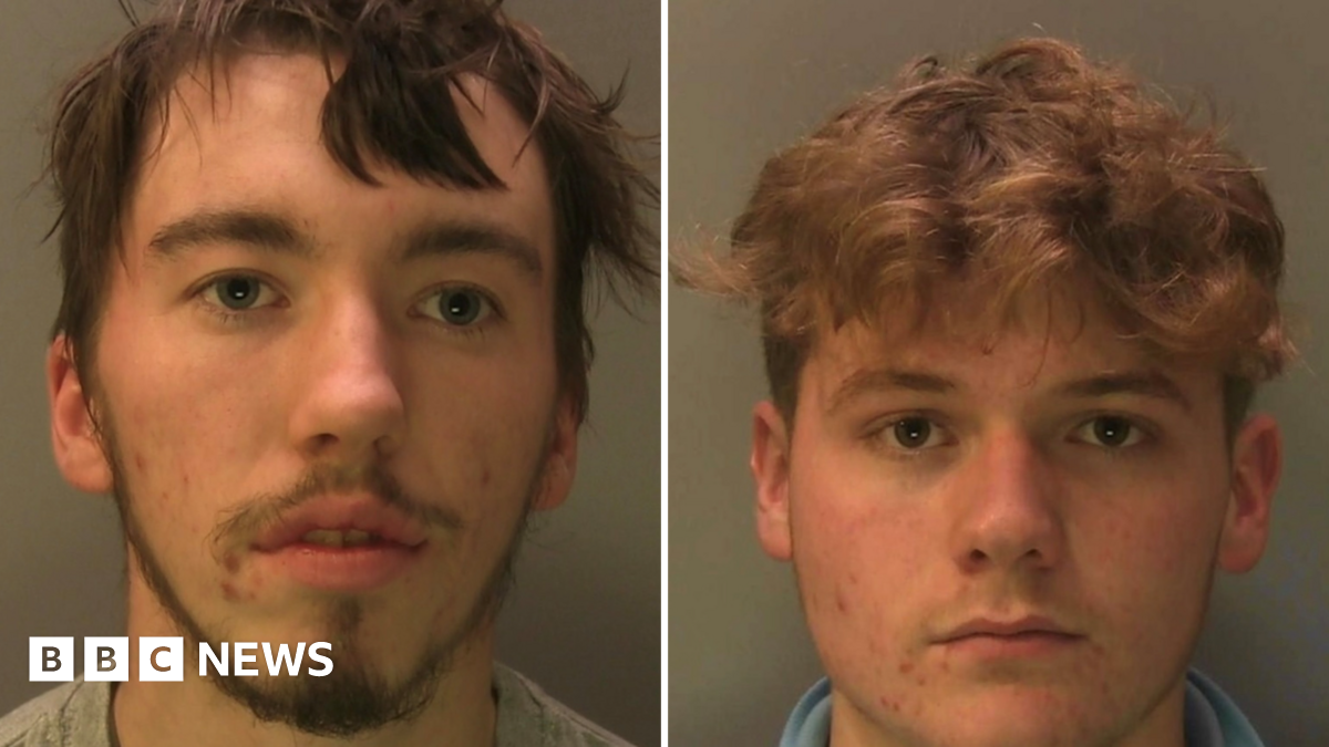 
                            Former Plumpton College students detained for 'sadistic' killing of sheep