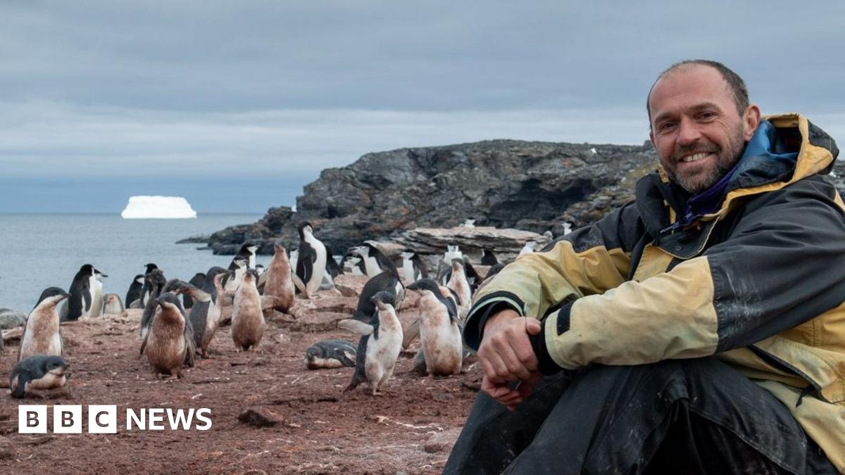 Penguins and iceberg-watching: Marking Christmas in Antarctica