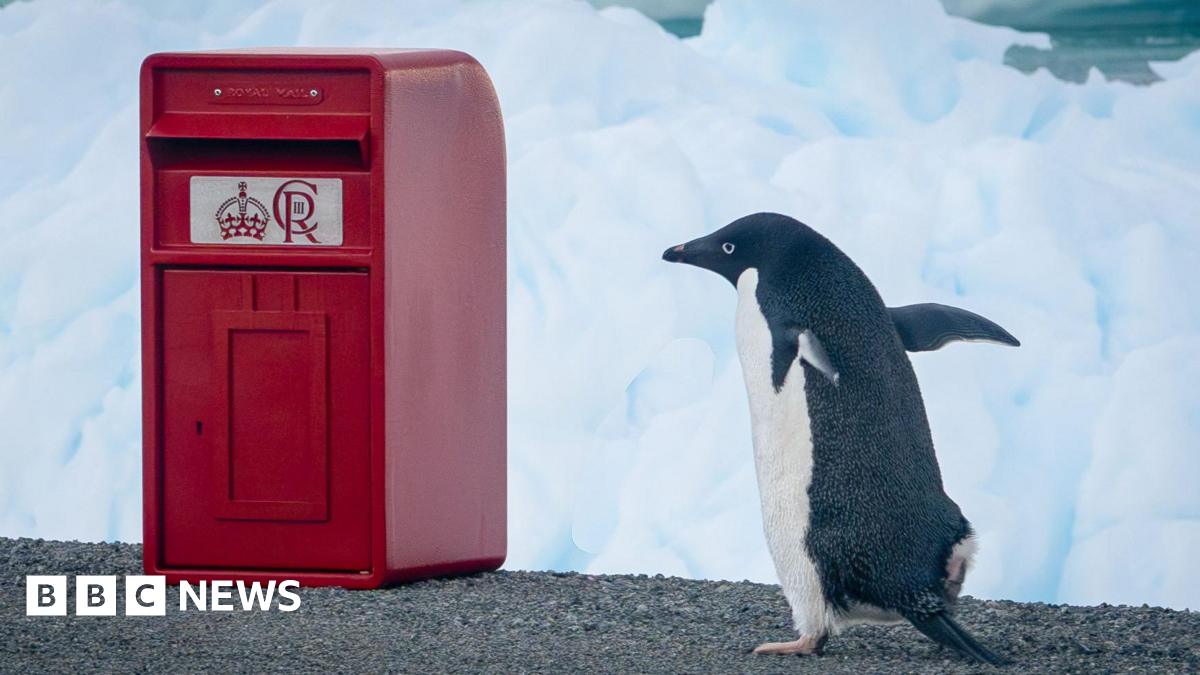 
                            King Charles gives post box to Antarctic research staff