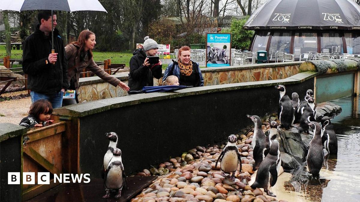 _93859334_twycross.jpg