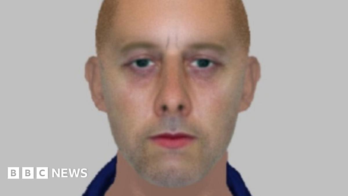 Dog dies after being stabbed by Ongar burglars BBC News