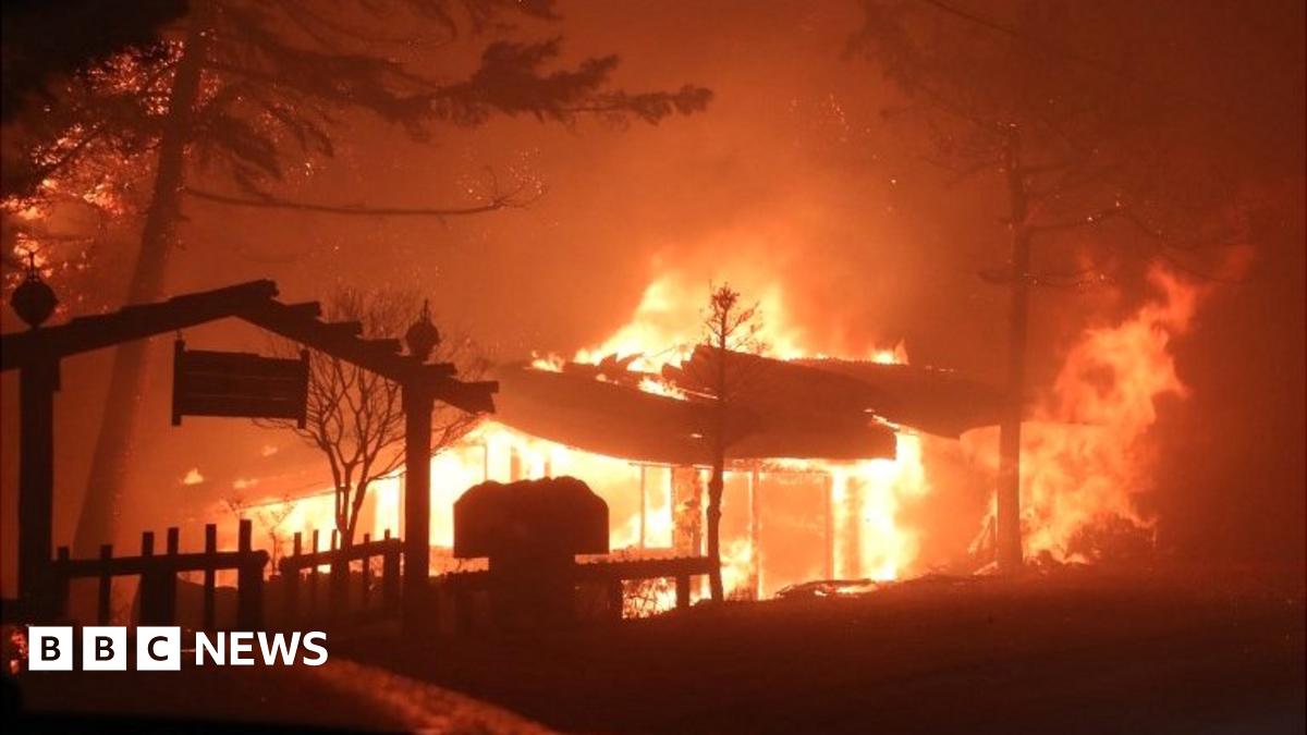 South Korea wildfires Deadly blaze declared a national emergency BBC