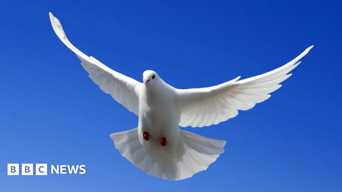 Is the Holy Spirit living in Africa?