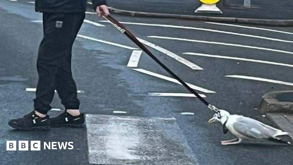 www.bbc.co.uk