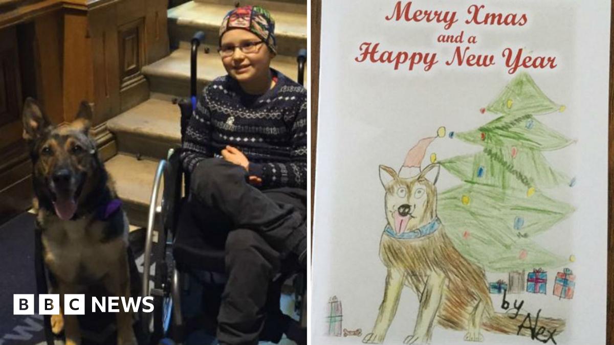 Stabbed police dog Finn in Christmas picture sells for £1,320