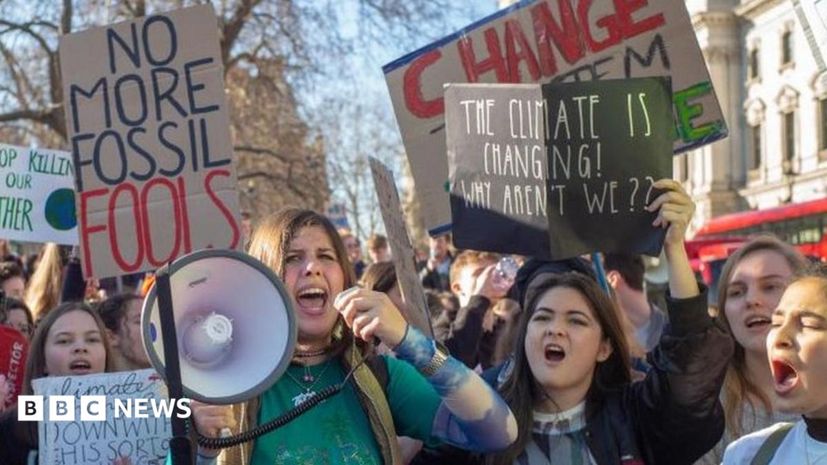 Children have right to clean environment - report - BBC News