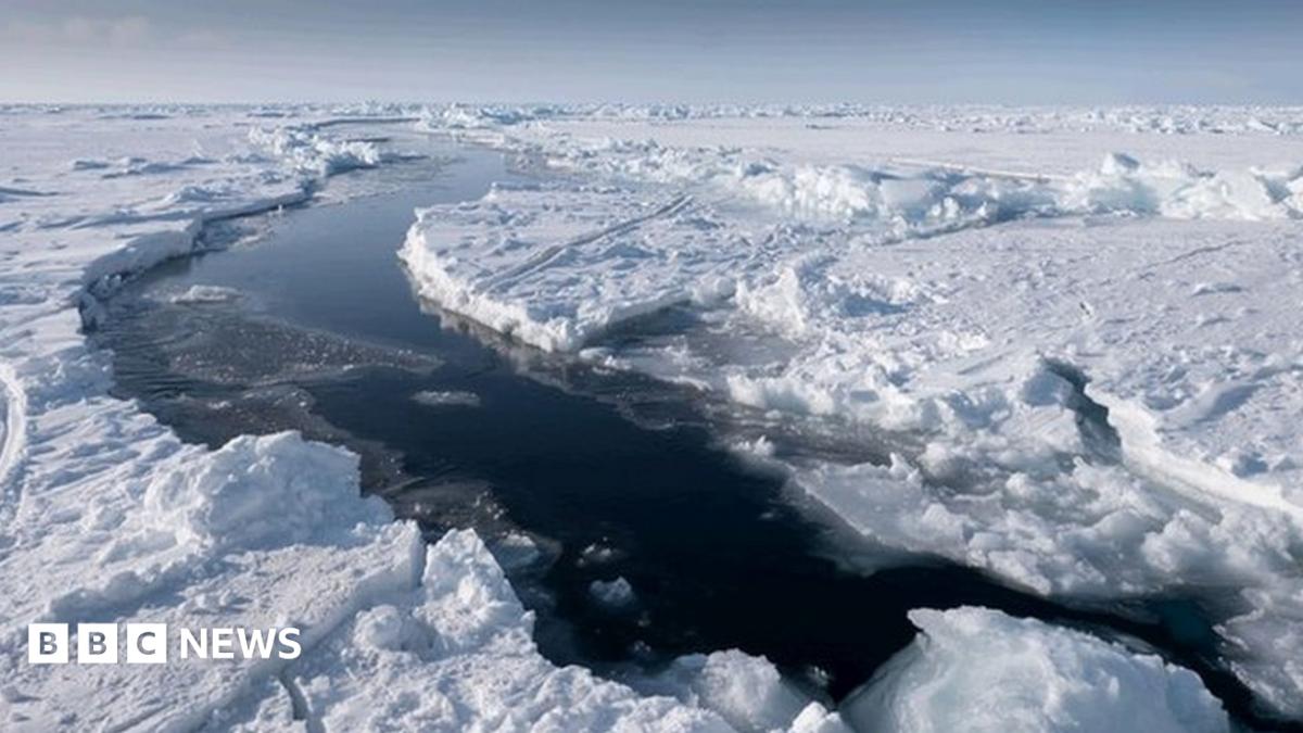 Arctic deal bans North Pole fishing - BBC News