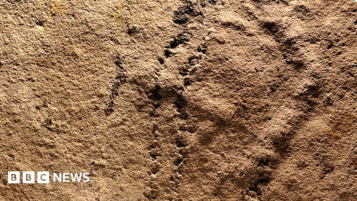 Oldest 'footprints' found in China - BBC News