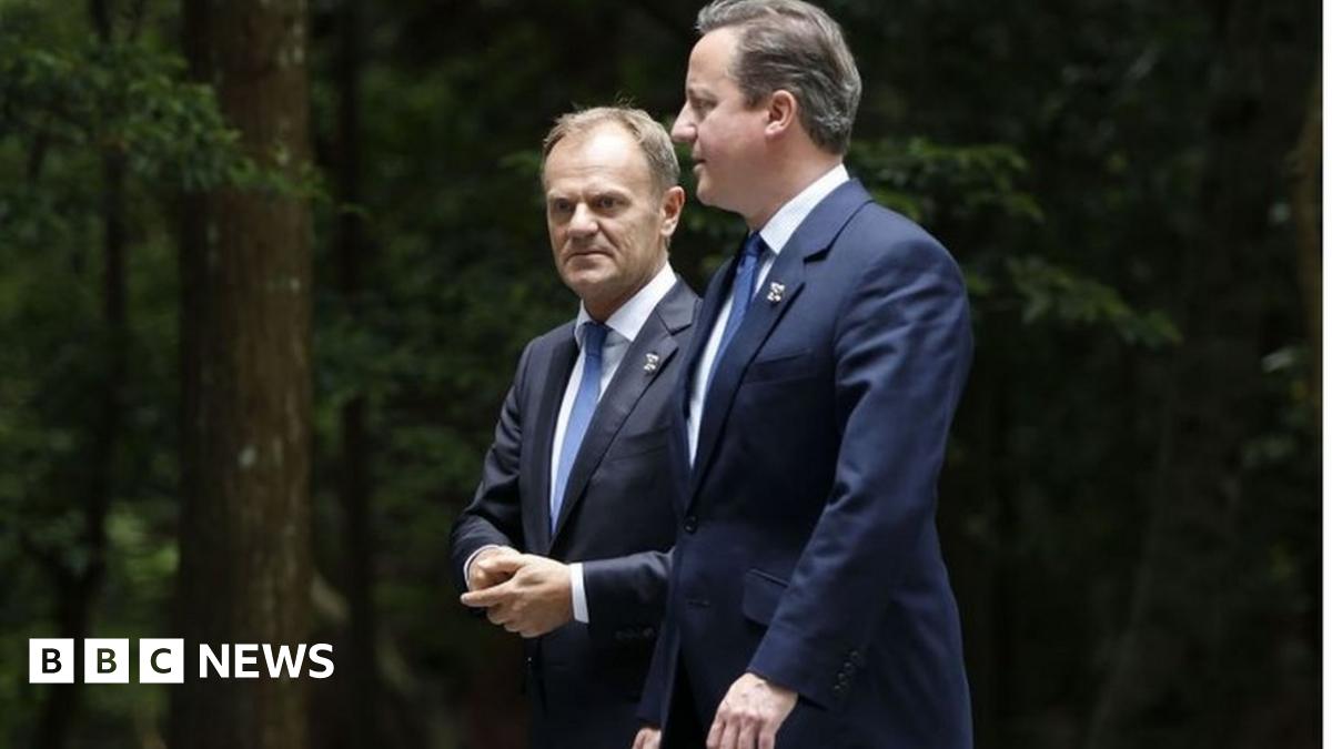 Brexit: David Cameron warned by Donald Tusk over 'stupid referendum'