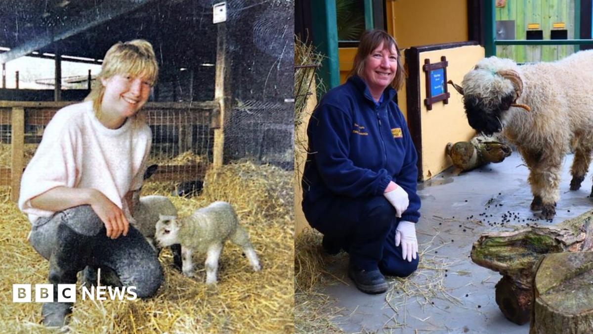 Sussex Woman Marks 40 Years At Zoo Where She Grew Up BBC News