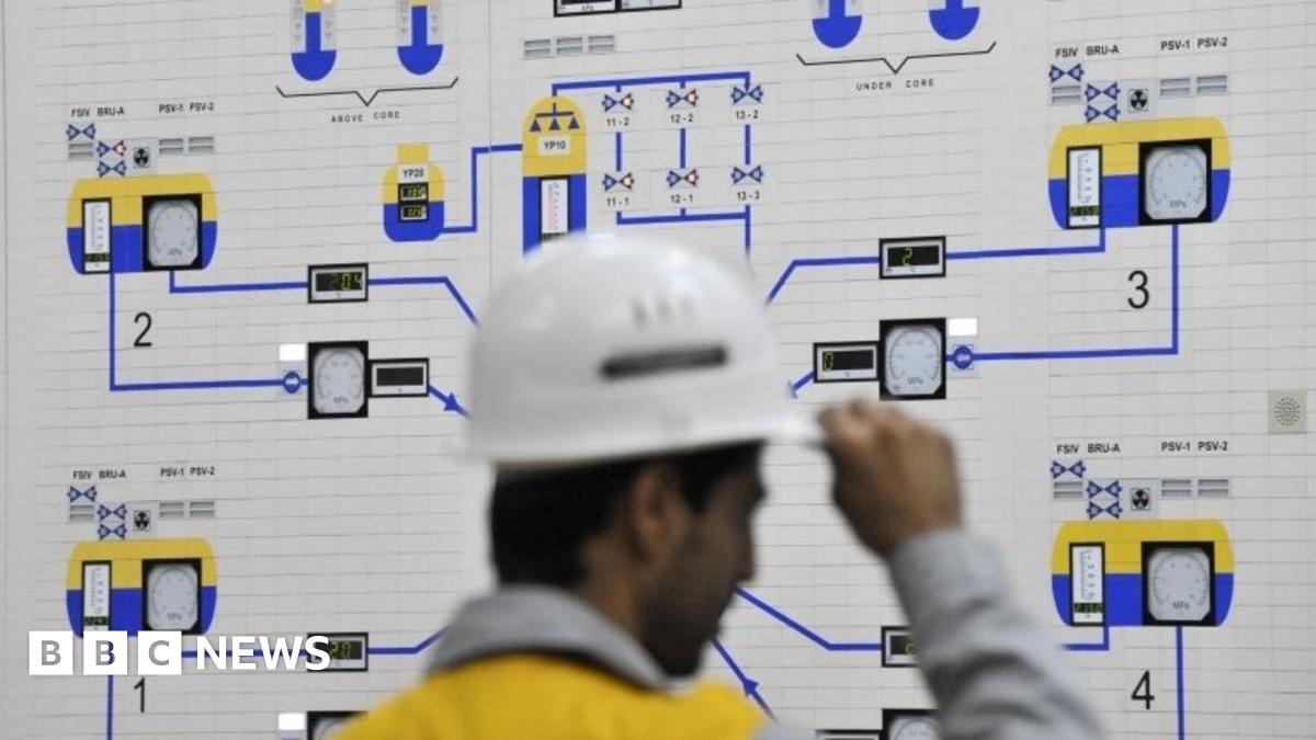 Worker at Bushehr nuclear plant (file photo)