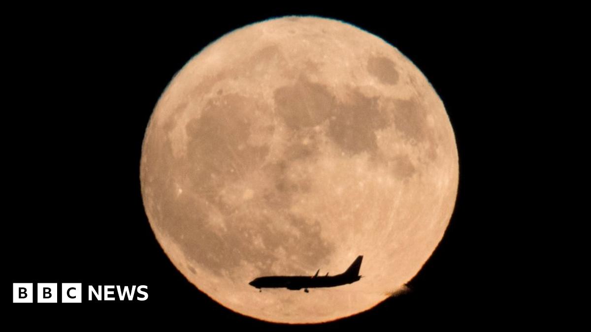 Moonrise over the Pacific : r/moon