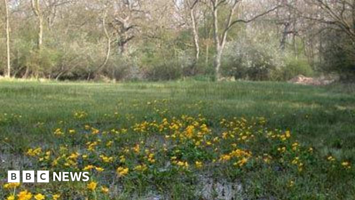 Wildlife Trusts object to new homes plan near Peterborough