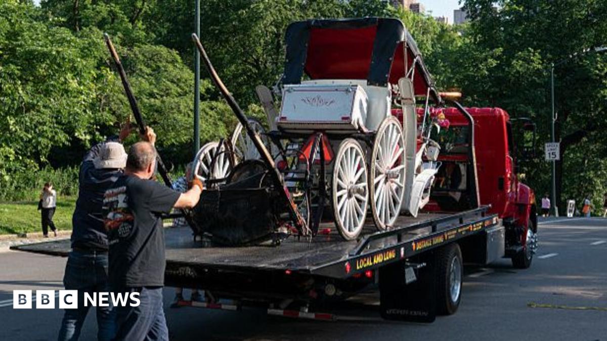 Teenager dies in horse-drawn carriage accident in New York