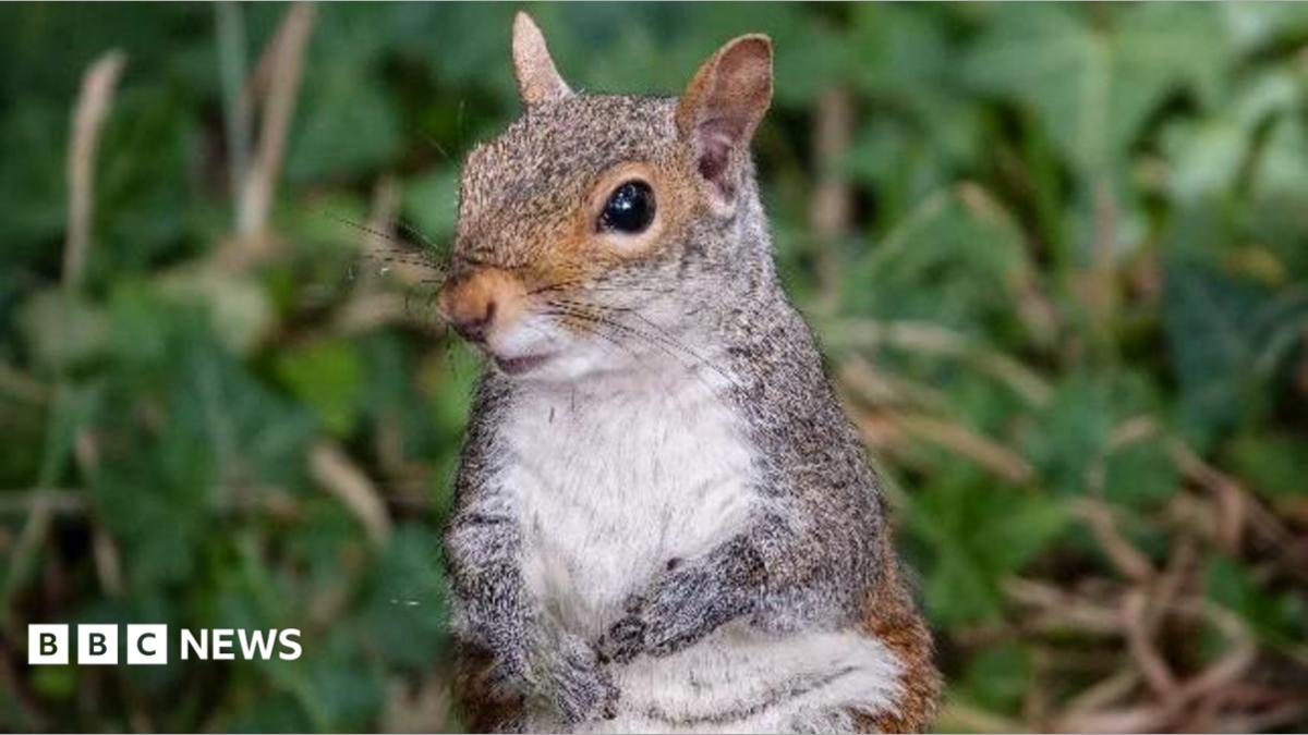 Your photos from the West Midlands: Sunshine brings out the wildlife