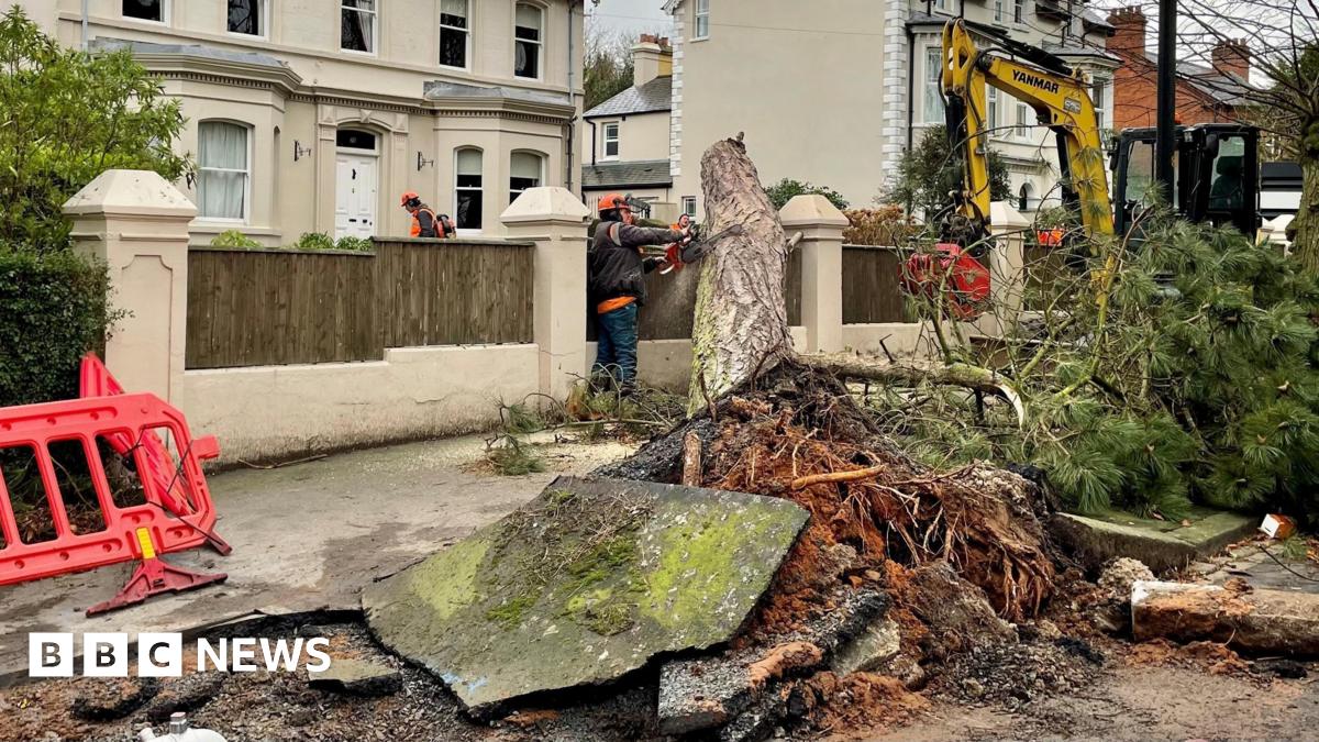 About 6,500 still without power a week after Storm Éowyn